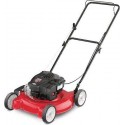 11A-02BT729 20-in Push Lawn Mower with 125cc Briggs & Stratton Gas Powered Engin