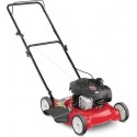 11A-02BT729 20-in Push Lawn Mower with 125cc Briggs & Stratton Gas Powered Engin